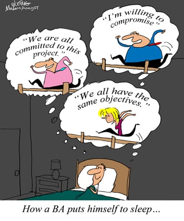 Humor - Cartoon: The Business Analyst's Fantasy Dream